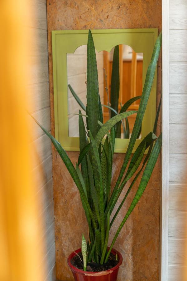 La Maisonnette Etape De Saint-Come D'Olt Villa ภายนอก รูปภาพ